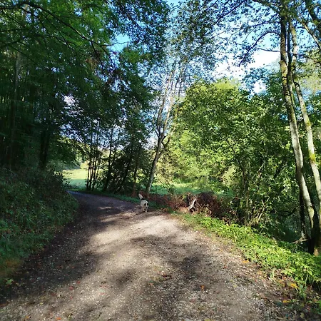 Kleines Hofquartier * Nettersheim
